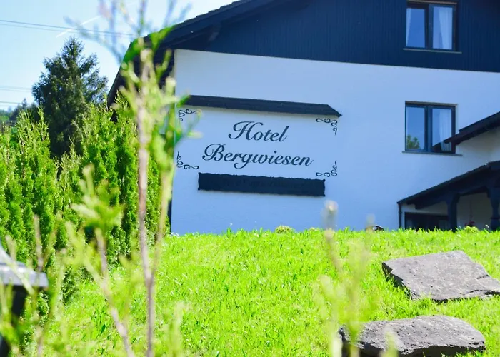 Hotel Bergwiesen - Zimmer mit Balkon oder Terasse